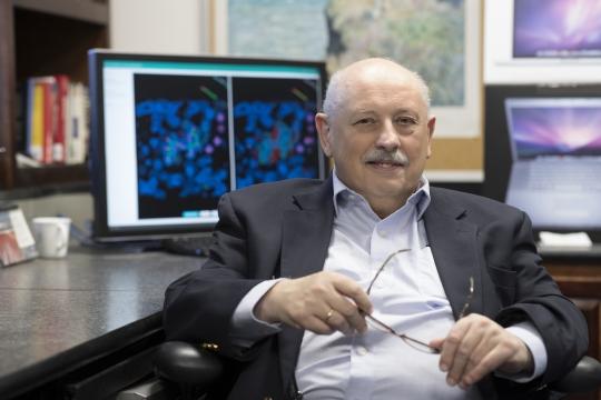 New tool facilitates COVID-19 treatments, vaccines