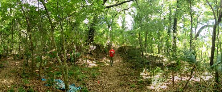 The Mound at Grand Caillou