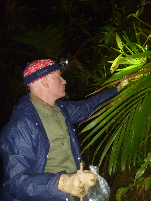 Konrad Mebert working in the field