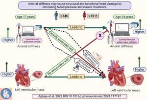 Arterial stiffness may case premature cardiac damage in youth.