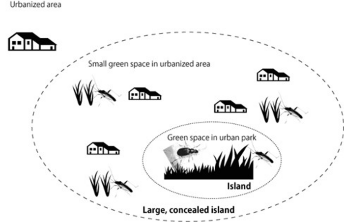 Schematic of hospitable environments for wildlife in urban centers