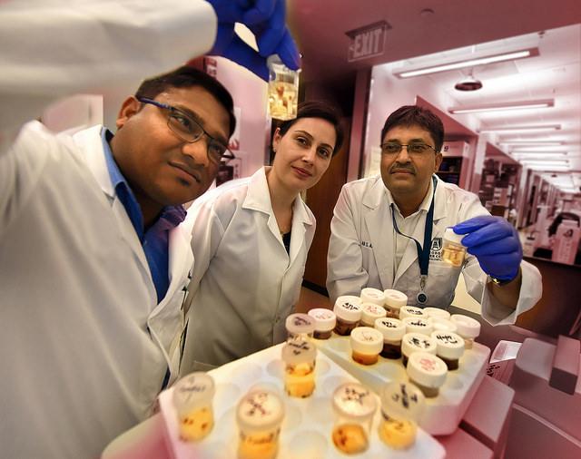 Researchers, Medical College of Georgia at Augusta University