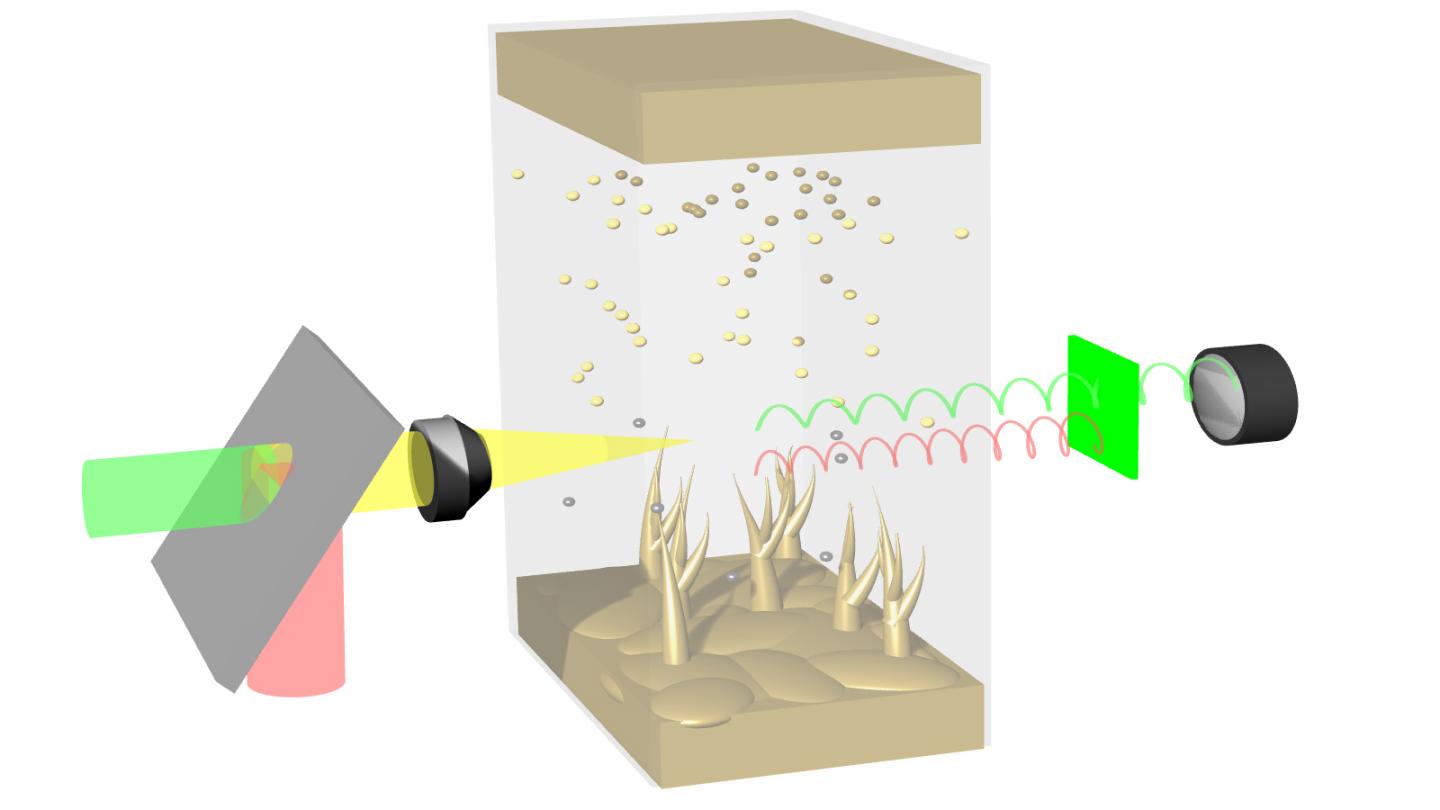 Schematic Illustration