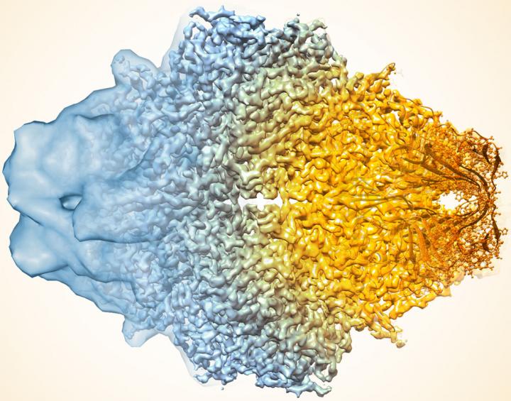 Cryo-EM improvement