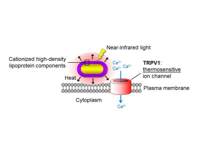 Gold Nanorods for Pain Relief