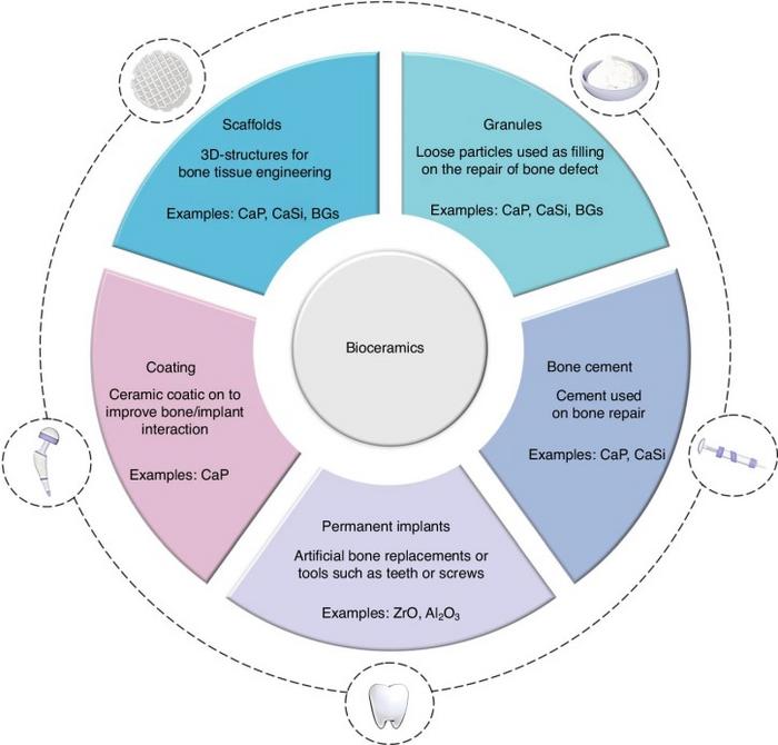 Schematic of different types and applications for bioceramic materials.