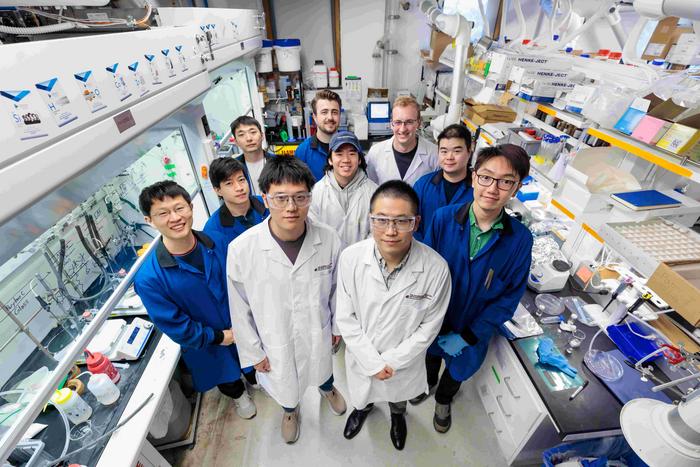 Wang Research Group