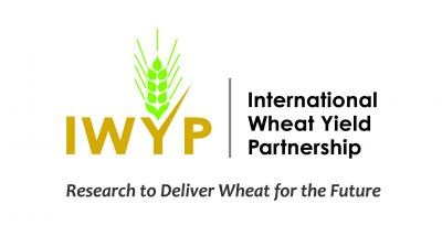 IWYP Logo