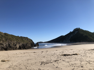 Cantabrian coast (N Iberian Peninsula)