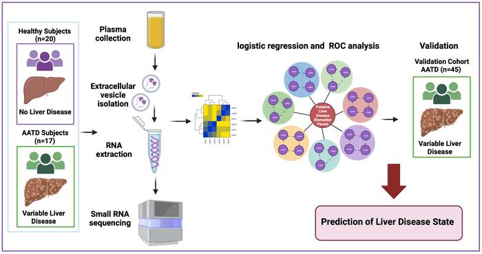 Plasma Extracellular Vesicle-derived MicroRNA Associated with Human Alpha-1 Antitrypsin Deficiency-mediated Liver Disease