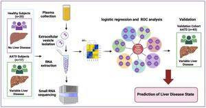 Plasma Extracellular Vesicle-derived MicroRNA Associated with Human Alpha-1 Antitrypsin Deficiency-mediated Liver Disease
