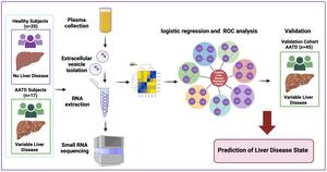 Plasma Extracellular Vesicle-derived MicroRNA Associated with Human Alpha-1 Antitrypsin Deficiency-mediated Liver Disease