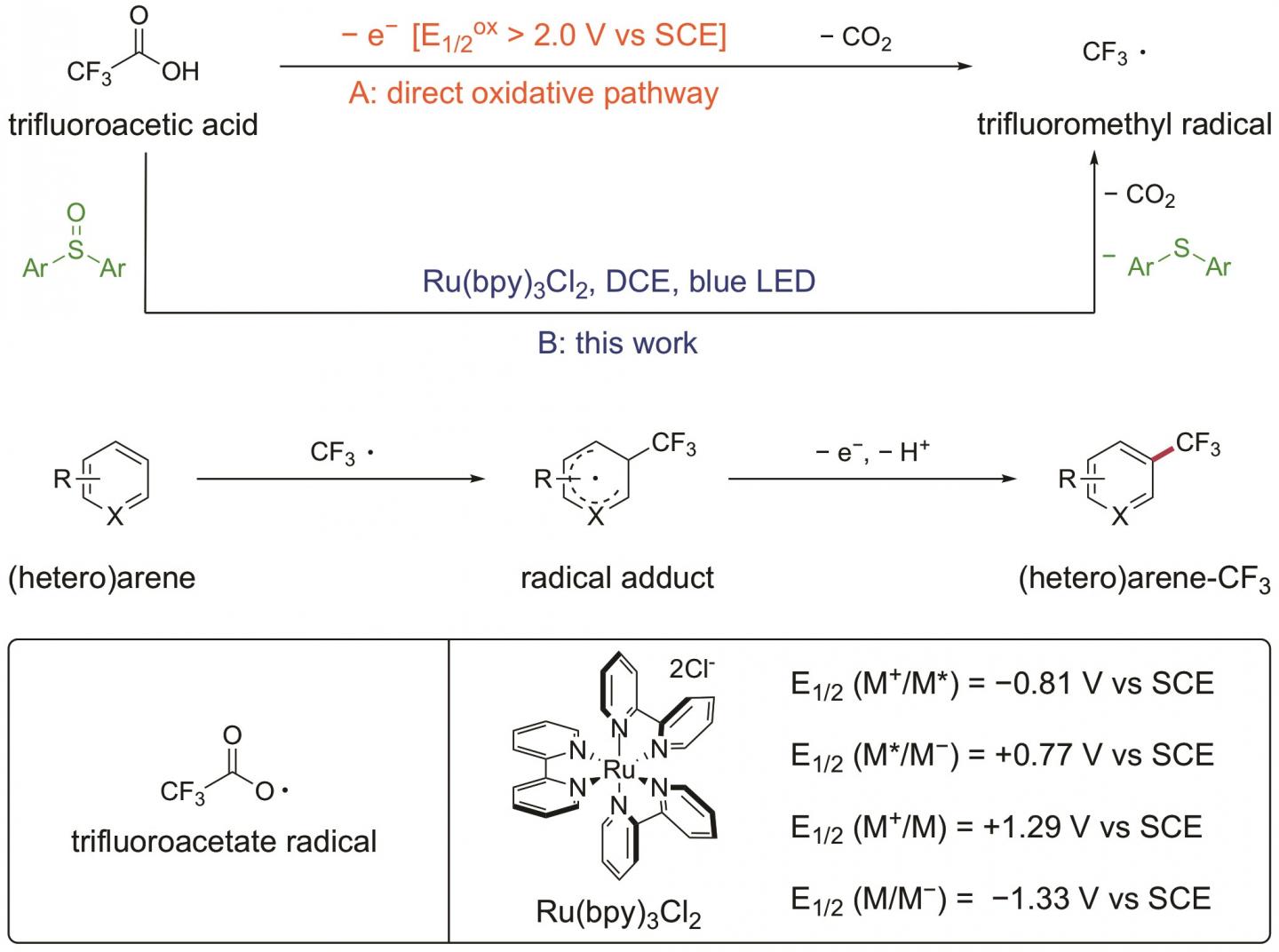 Figure 2. Working Hypothesis for the Trifluoromethylation