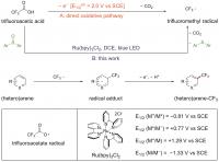 Figure 2. Working Hypothesis for the Trifluoromethylation