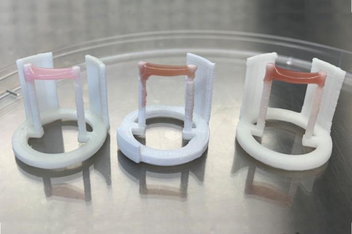 Heme Proteins Improve Color and Growth of Cell Grown Meat