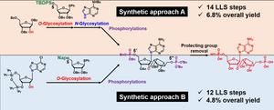 Two synthetic approaches to produce the poly(ADP-ribose) fragment