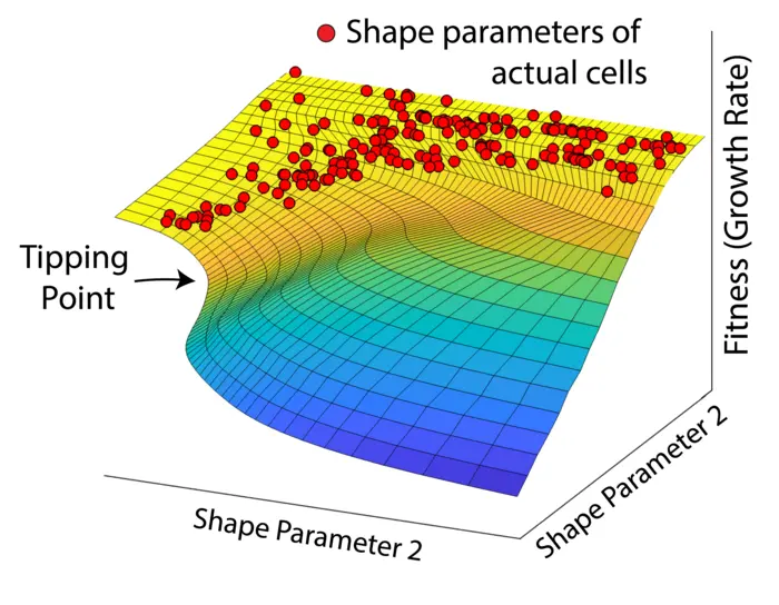Fitness landscape tipping point
