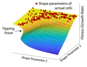 Fitness landscape tipping point