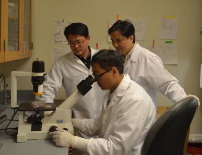 Researchers in the Lab