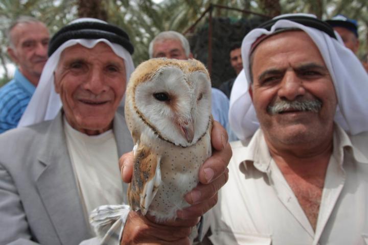 Palestinian and Israeli Arab Farmers Holding Ban Owl