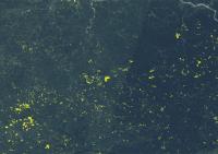 New Mapping Tool Lets You See Year-To-Year Changes in Mining Activity from Space (1 of 2)