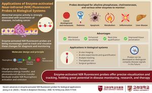 Applications of enzyme-activated near-infrared fluorescent probes in biological systems