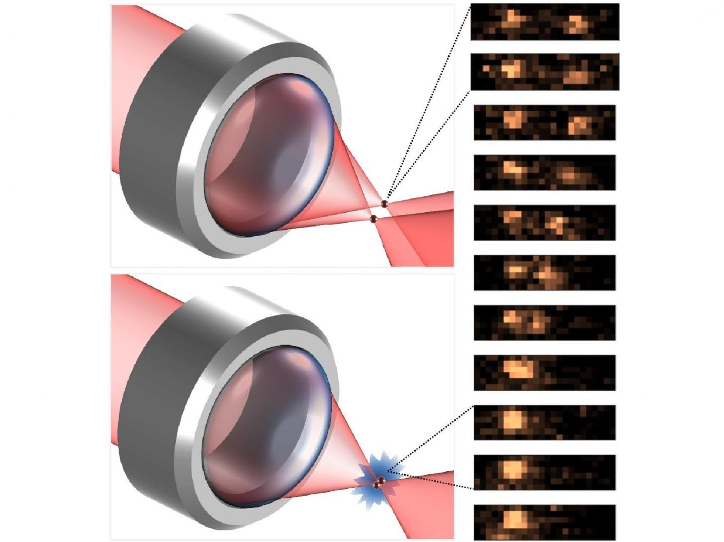 Atom Interaction Discovery Valuable for Future Quantum Technologies