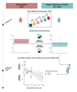 Visual statistical learning in preverbal infants at a higher likelihood of autism and its association with later social communication skills