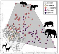 Comparison of Modern and Fossil Mammal Communities