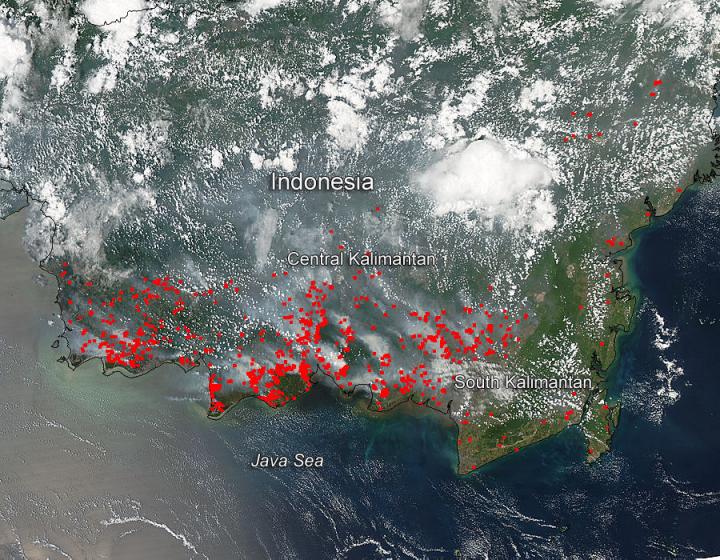 Fires Rage Across the South of Indonesia