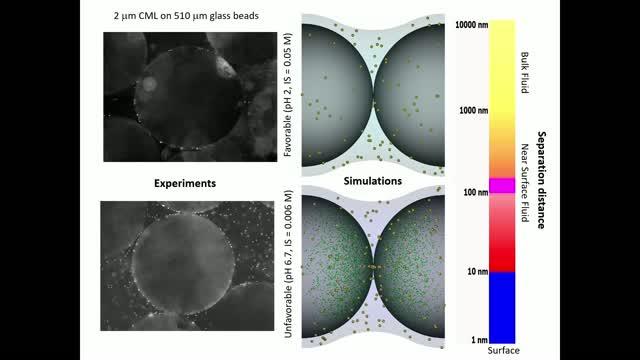 Simulations and Experiments of Favorable and Unfavorable Colloid Attachment