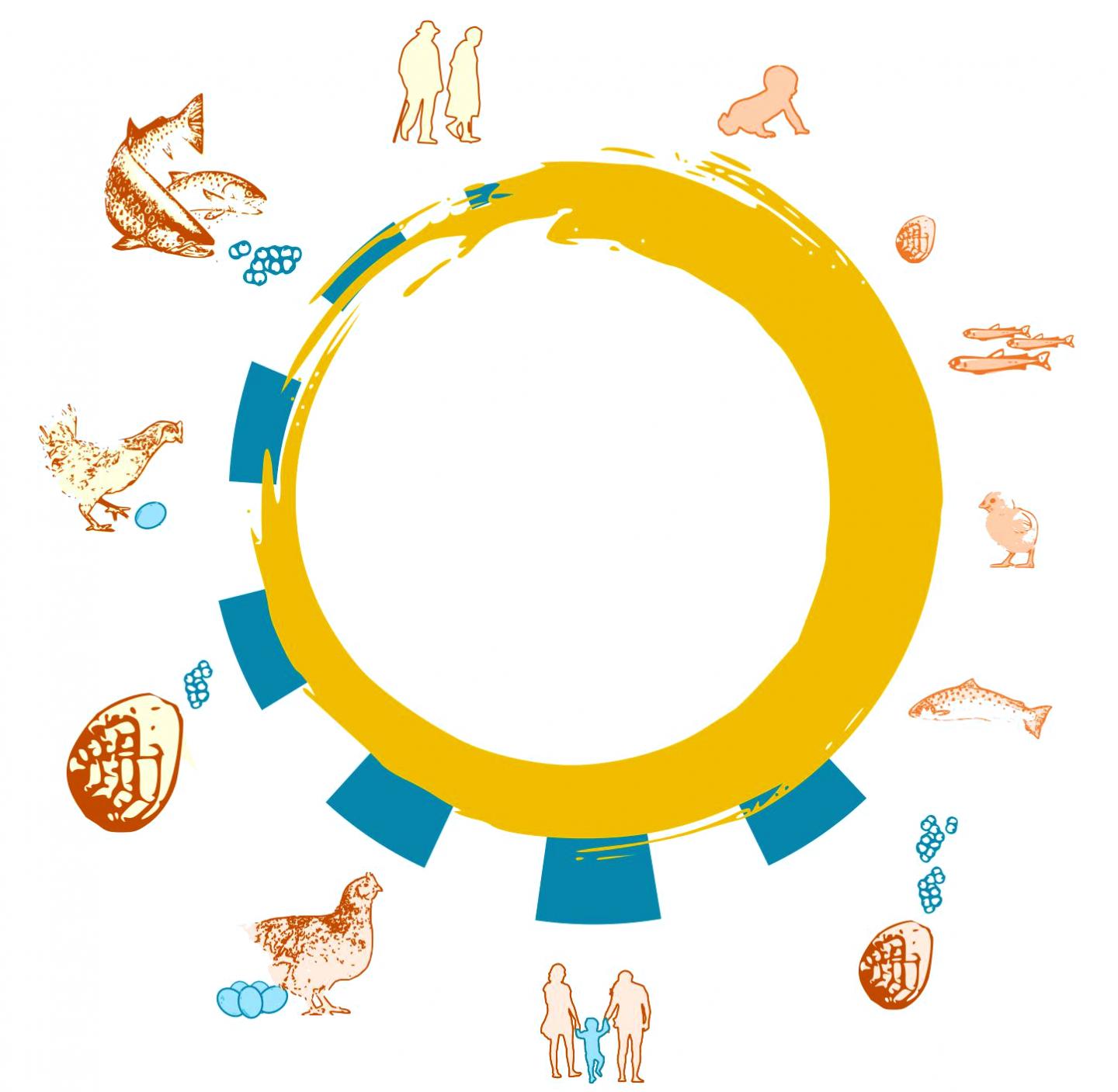 The Pace and Shape of Life Varies Hugely in the Animal Kingdom