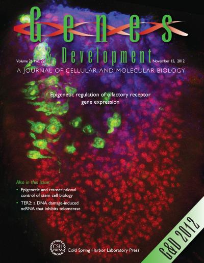 Cover of Nov. 15 Issue