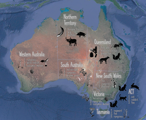 Worst three species for each Australian state