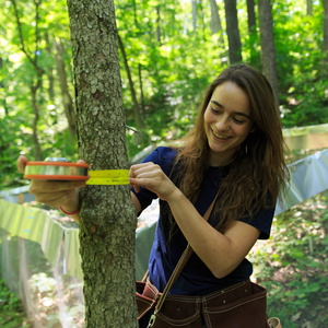 Student researcher