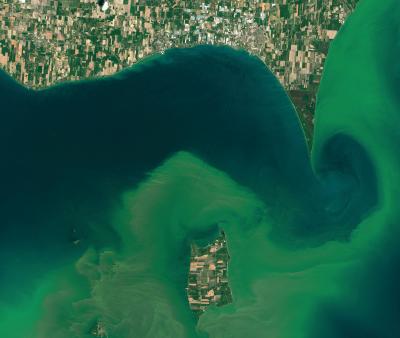 Lake Erie Algal Bloom