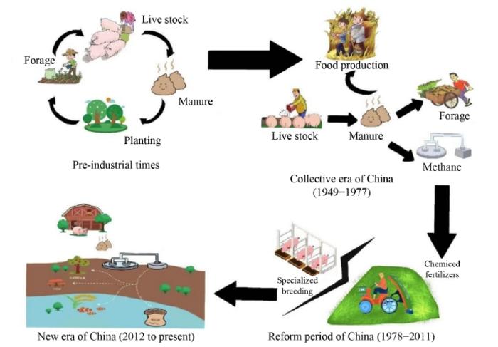 graphical abstract