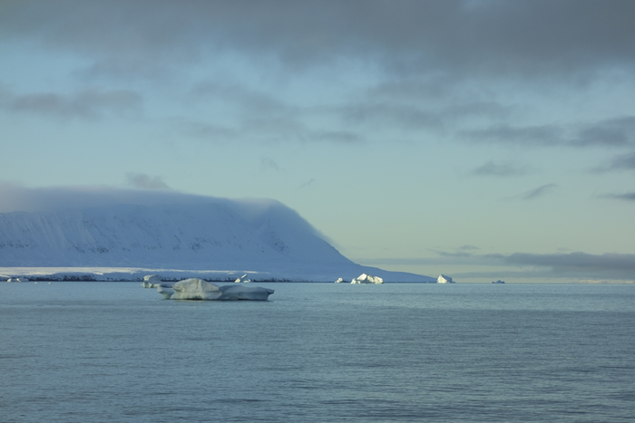 Arctic carbon conveyor belt discovered | EurekAlert!