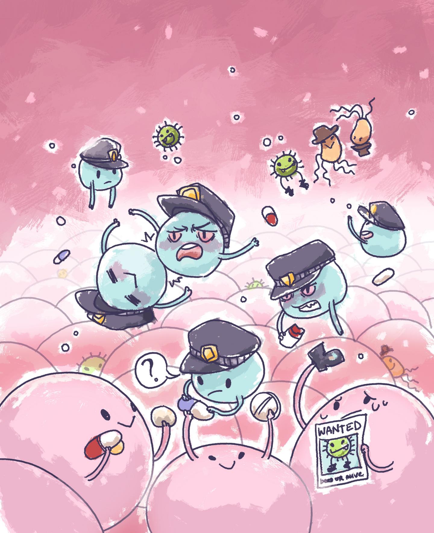 Drugs can Compromise the Integrity of our MAIT Cell Protectors