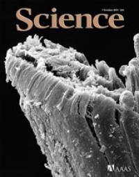 Cover of the Oct. 7, 2011, Issue of the Journal <I>Science</I>
