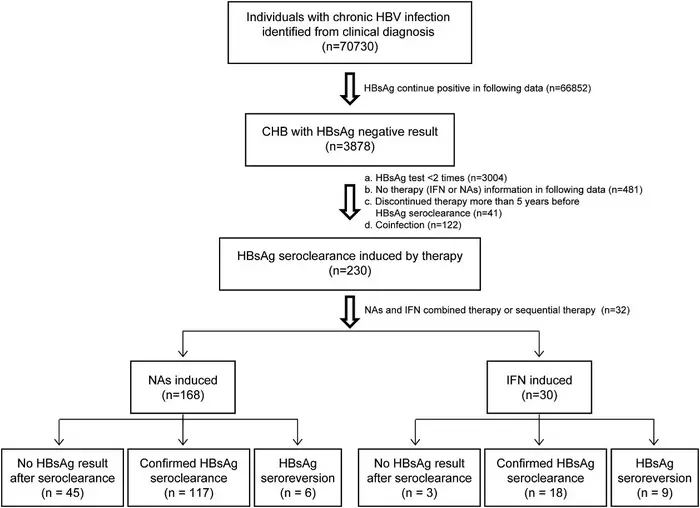 Patient inclusion and exclusion flowchart.