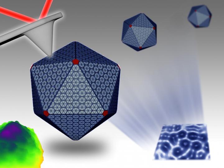 Illustration of a Carboxysome