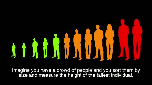 Tallest Person