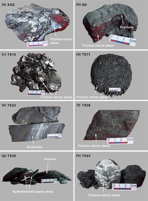 Photographs of Permian coal samples collected from the Yongan Coalfield, South China.