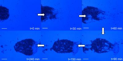 Moving Particles Screenshots