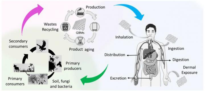 Illustration of the Life Cycle of Graphene-Based Materials