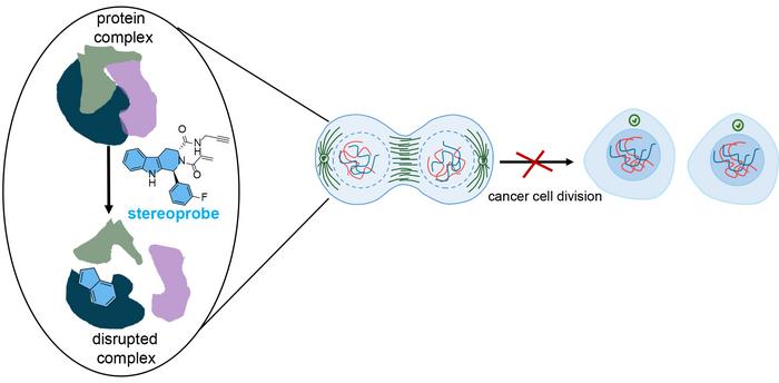 New way to potentially slow cancer growth