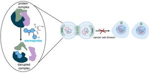 New way to potentially slow cancer growth