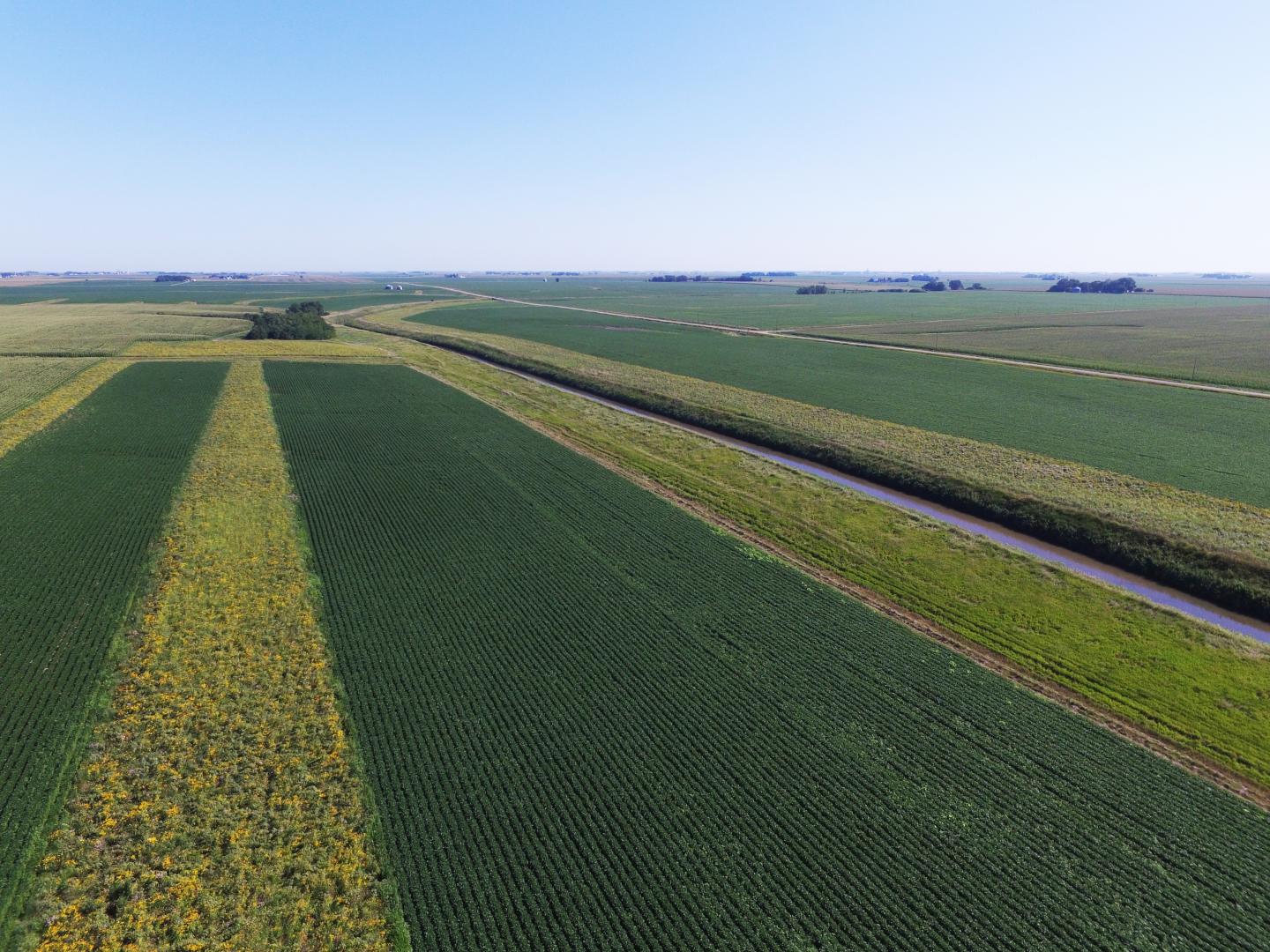Aerial View of Prairie Strips