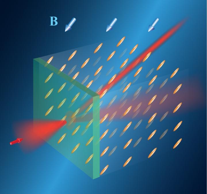 Routing of Light in a Liquid Crystal by a Magnetic Field